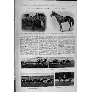1900 New Zealand Grand National Prosser Thorpe Straybird Horses Totnes 
