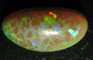 Wello opals are quickly rising to the top of the list for most 