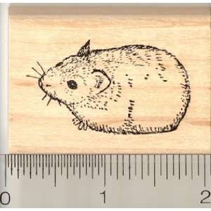  Dwarf Hamster Rubber Stamp Arts, Crafts & Sewing