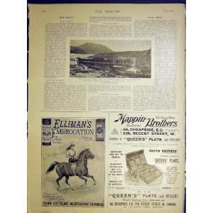   Japan Mail Steamer Advert EllimanS Mappin
