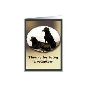  Volunteer Appreciation Vintage Labrador Retrievers Photo 