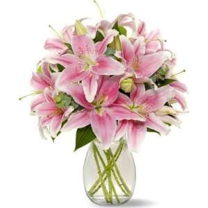 Stargazer Lilies without Vase  Grocery & Gourmet Food