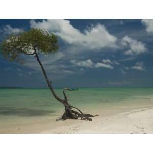 Silver Sand Beach with Turquoise Sea, Havelock Island, Andaman Islands 