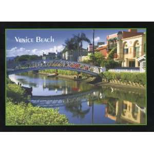  048 VENICE BEACH CALIFORNIA POSTCARD   From Hibiscus 