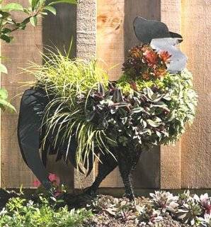 Topiary Rooster   Metal Sculpture Topiary Rooster