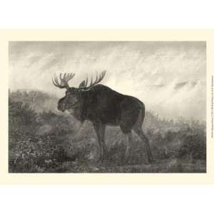  Neil Gower   American Moose Canvas