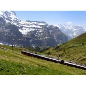 Train from Kleine Scheidegg on Route to Jungfraujoch, Bernese Oberland 