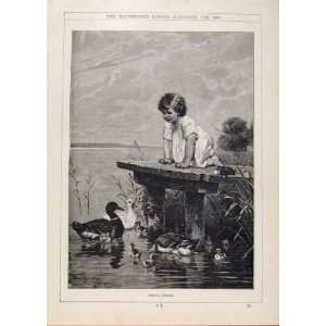  London Almanack Young Ducks And Child 1890 Old Print
