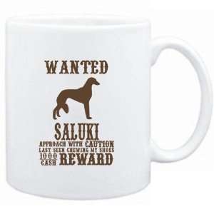   White  Wanted Saluki   $1000 Cash Reward  Dogs