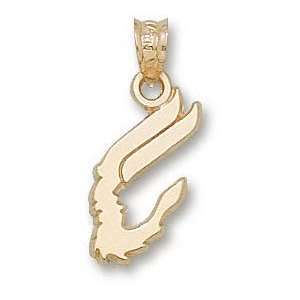  Idaho Vandals Solid 10K Gold Vandals Face Pendant Sports 