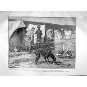  1904 TIBET WAR CAMP TATSANG WARRINGTON SHOW BULLS