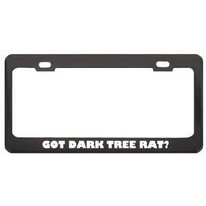   Rat? Animals Pets Black Metal License Plate Frame Holder Border Tag