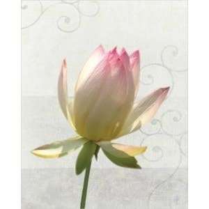 Single Water Lily by Wendy Theisen Halsey. size 18 inches width by 22 