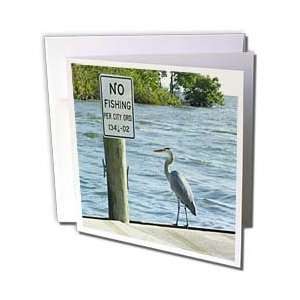 Florene Birds   No Fishing Sign With Greater Heron   Greeting Cards 6 
