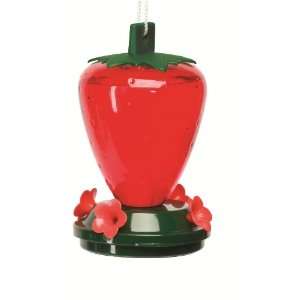  ArtLine 5555   24 oz Strawberry Shaped Hummingbird feeder 