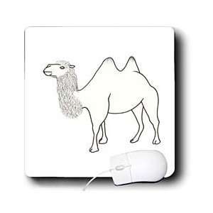   Camel   Two Hump Camel Outline Art Drawing   Mouse Pads Electronics