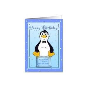   93rd Birthday   Penguin on Ice Cool Birthday Facts Card Toys & Games
