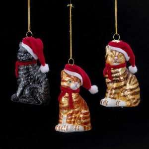   Noble Gems   Santa Cat Glass Ornaments   3 Assorted