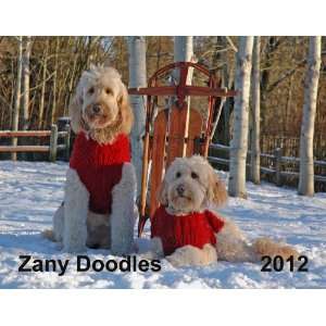   2012 Goldendoodle Dog Wall Calendar (Zany Doodles) Cindy Hodo Books