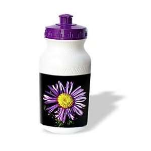  Taiche Photography   Flower Aster   Water Bottles Sports 