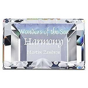  Swarovski Crystal #698560, 2005 Harmony Plaque