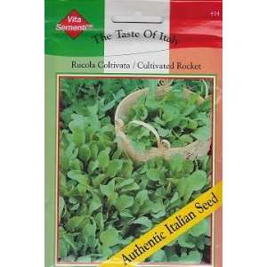  Cultivated Rocket (Rucola) 6000 Seeds Taste of Italy 