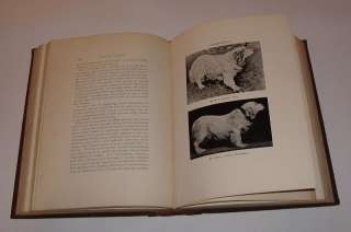 1893   KENNEL SECRETS   Breed / Manage / Exhibit DOGS  