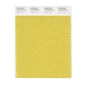  PANTONE SMART 13 0739X Color Swatch Card, Cream Gold
