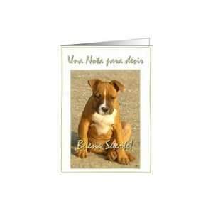 Buena Suerte Pitbull Puppy Card