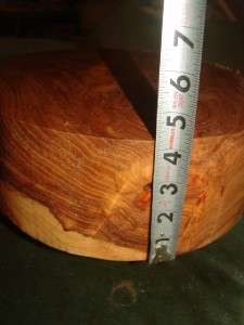 Huge size Carapatian Elm rootstock  turning pc. 12 x 4 1/4 Precut 