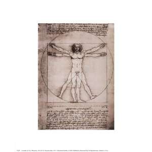  Leonardo Da Vinci   Vitruvian Man, 1492 Size 5x7 by 