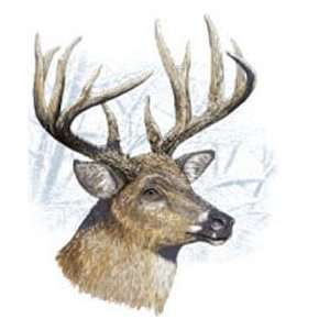   shirts Animals Wildlife Deer Whitetail Buck XXL 