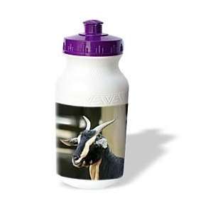  Farm Animals   Goat   Water Bottles