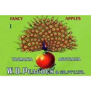  W.D. Peacock Fancy Apples   12x18 Gallery Wrapped Canvas 