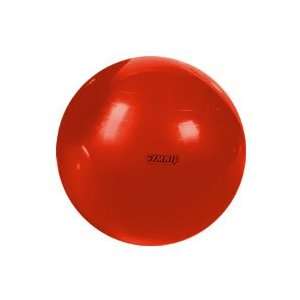  Gymnic Plus Exercise Balls 55cm (EA)