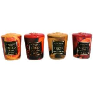  Root 20 Hour Votive, Autumn, 12 Count (Pack of 2)