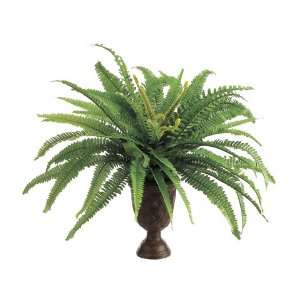  Pack of 6 Forest Fern Plants in Brown Paper Mache Pot   18 