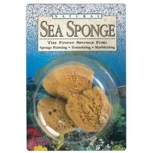 Sponges,natural,sea,3pc Electronics