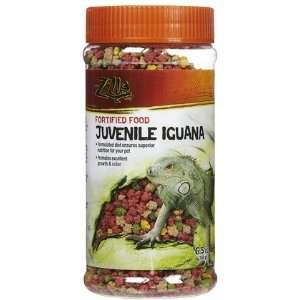  Juvenile Iguana Food (Quantity of 4) Health & Personal 