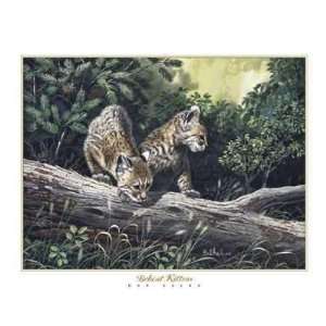  Don Balke   Bobcat Kittens Canvas