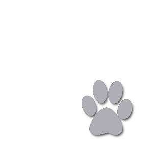 Small Paw Print Pet ID Tag Custom Diamond Engraved Dog Cat 