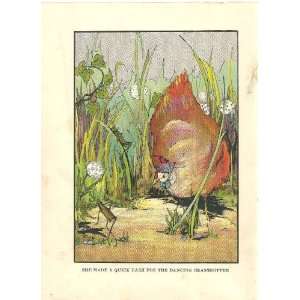   Grasshopper 1916 8X6 Color Print By Elsie M. Kroll 