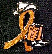 Lupus Orange Glitter Ribbon Cowgirl Cowboy Western Boots Hat Lapel Pin 