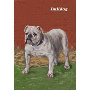 White Bulldog 20x30 poster