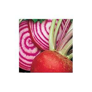  Chioggia Beet   1 oz. Patio, Lawn & Garden