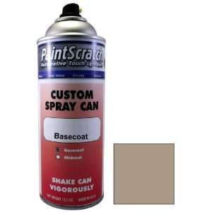 12.5 Oz. Spray Can of Cashmere Silver Metallic Touch Up Paint for 1993 