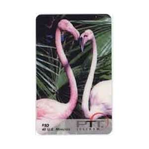  Collectible Phone Card $10. Two Flamingos (Close up Photo 