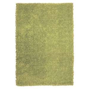The Rug Market Frisco Coral Lime Green 09716 Lime Green Casual 47 x 