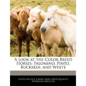  A Look at the Color Breed Horses Palomino, Pinto, Buckskin 