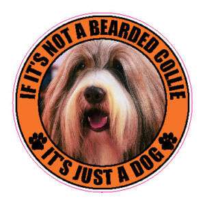 IF ITS NOT A BEARDED COLLIE ITS JUST A DOG 4 STICKER  